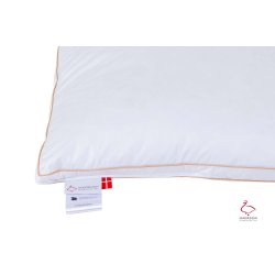 Svinedrengen - Mellem hovedpude